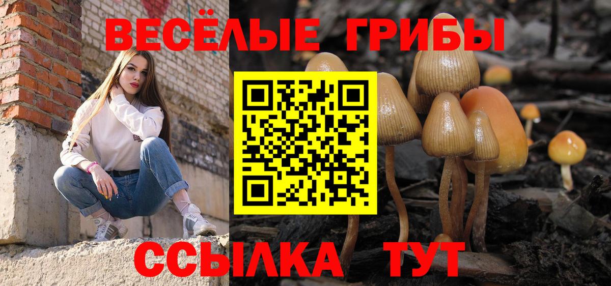 Удомля  Псилоцибиновые грибы MAGIC MUSHROOMS  Галлюциногенные грибы прущие грибы  Вход с VPN 